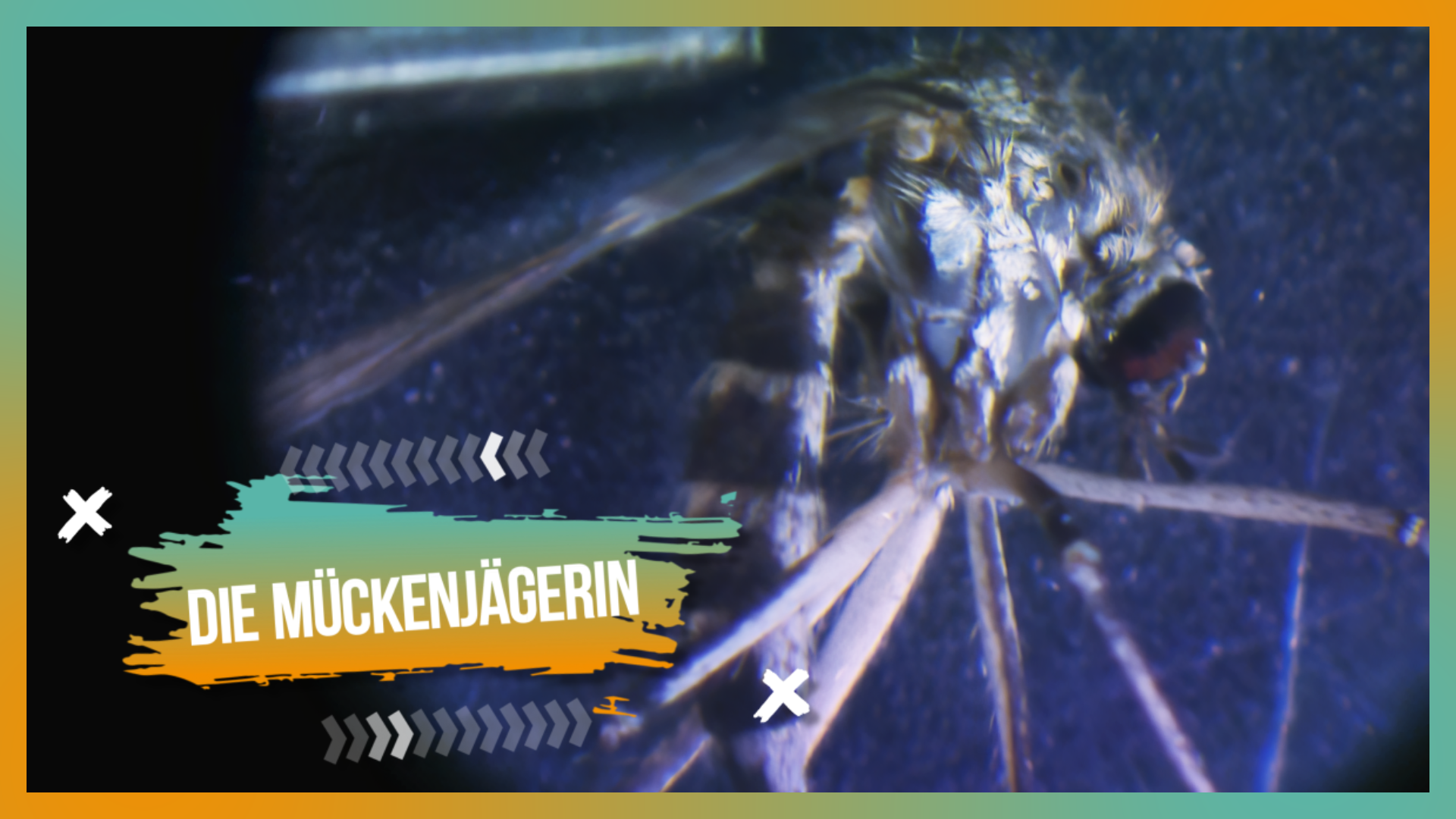 Titelbild Folge 40